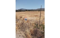 Gournes, Crete 71003