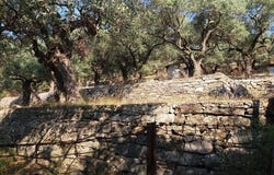Thásos, Macedonia