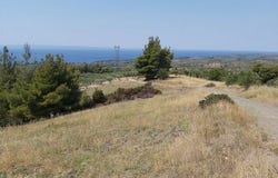 Sithonia, Chalkidiki 60388