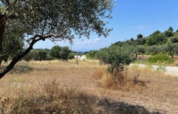 Ialisos, South Aegean 85101