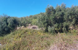 Sivota, Epirus 46100