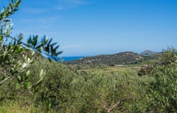 Vrises, Crete 73014