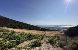 Agkeria, South Aegean 84400