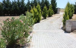 Kassandra, Chalkidiki 63077