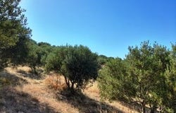 Palekastro, Kríti 723 00