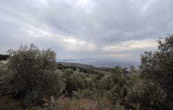 Milies, Thessaly 37010