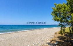 Platania, Thessalía 730 14