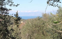 Corfu, Corfu Prefecture 49100