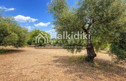 Kassandra, Central Macedonia