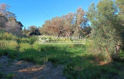 Vasilikos, Ionian Islands 29100