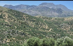 Agios Stefanos, Crete 72055