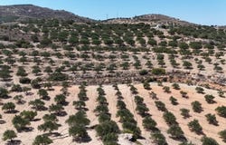 Skopi, Crete