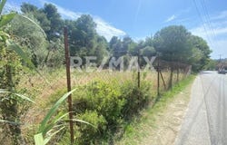 Kanapitsa, Thessaly 37002
