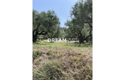 Agios Kirikos, Ionian Islands 29100