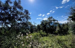 Souleika, Ionian Islands 49084