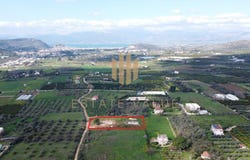 Junction of Agia Eleousa, Peloponnese 21100