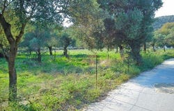 Sithonia, Chalkidiki 63072