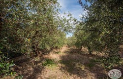 Maleme, Crete 73014
