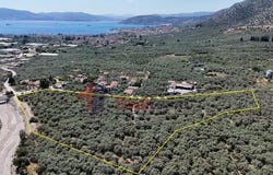 Soutrali, Thessaly 38500