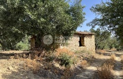Nea Koroni, Peloponnese 24004