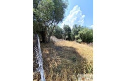 Corfu, Iónioi Nísoi 49081