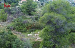 Malesina, Decentralized Administration of Thessaly and Centr 35001