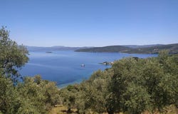 Milina, Thessaly 37013