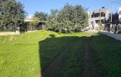 Stalida, Crete 70005