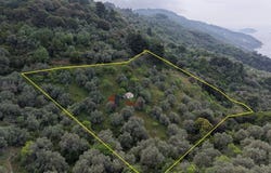 Glossa, Thessaly 37004