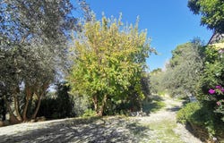Maleme, Crete 73014