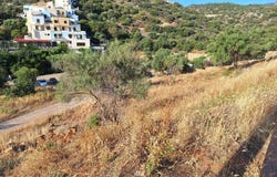 Agios Nikolaos, Crete 72100