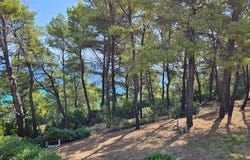Kassandra, Chalkidiki 63077