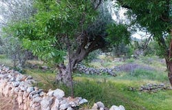 Kato Zakros, Kríti 723 00