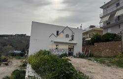 Agios Dimitrios, North Aegean 82131