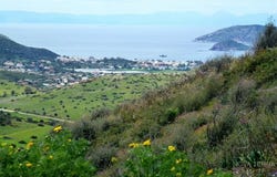 Anavyssos, Attica 19013
