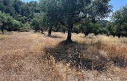 Ialisos, South Aegean 85101