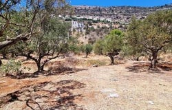 Καραβοστάσι, Peloponnese 23062