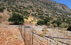 Plaka, Kríti