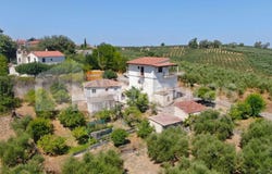Raches, Peloponnese 24500