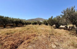 Dryos, South Aegean 84400