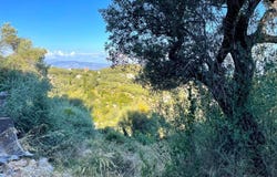 Pyrgi, Ionian Islands 49083