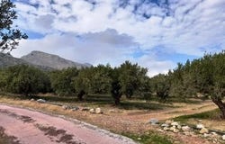 Zakros, Kríti 723 00