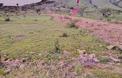 Lote 181km 201 salida a canilla, San Andres Sajcabaja, Quiché, San Andres Sajcabaja, Quiché