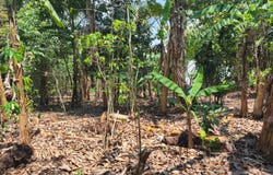 San José el tablon, villa canales., San Jose El Tablon, Guatemala, San Jose El Tablon, Guatemala