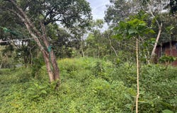 Aldea Colmenas, Villa Canales, Calle del molino., Villa Canales, Guatemala, Villa Canales, Guatemala