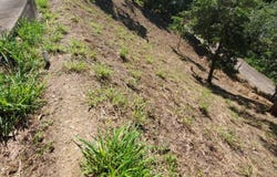Top Ridge Road, Top Ridge Lot #5, Roatan, Roatan, Islas de la bahía, Roatan, Islas de la bahía