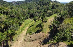 Santos Guardiola, Falcon Valley Lot#3, Roatan, Roatan, Islas de la bahía, Roatan, Islas de la bahía