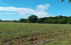 Aldea de Pavana, Choluteca, Choluteca., Choluteca, Choluteca, Choluteca, Choluteca
