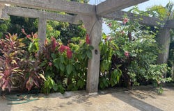 3 Commercial space, & 8 Apt., Main St Manor - Income Opp, Utila, utila, Islas de la bahía, utila, Islas de la bahía