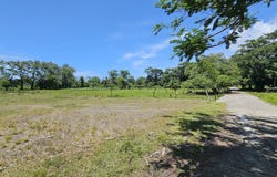 Res Mango Tree, Granadita Sambo Creek, La Ceiba, Atlantida, La Ceiba, Atlantida